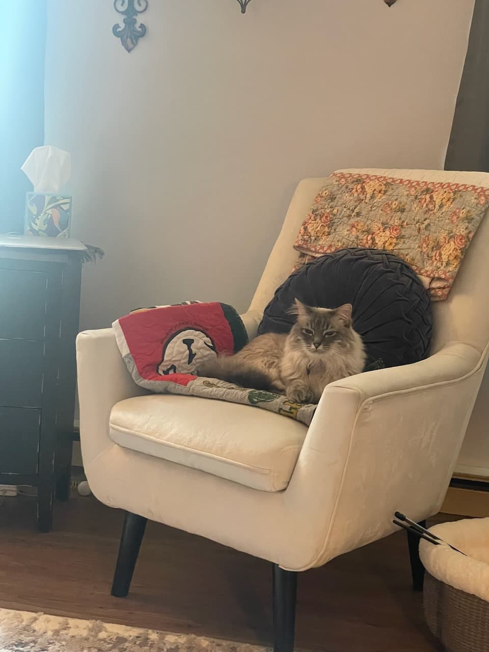 BlueBell was quick to claim her own chair at grandma’s house