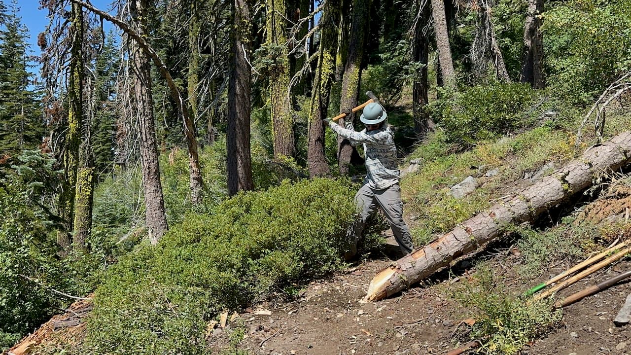 Shawn embodies his inner lumberjack to clear the trail